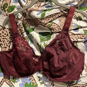 Elomi 36 I bra dark red